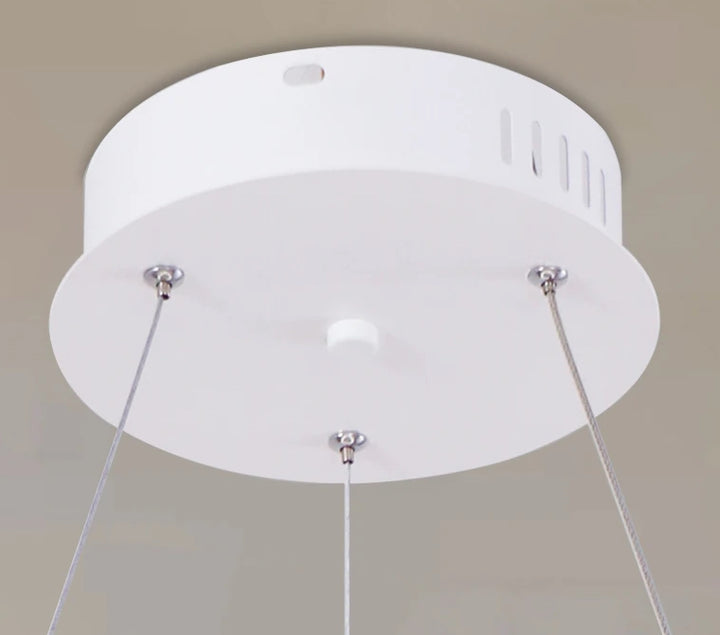 Mount -Built in LED Modern Suspended light