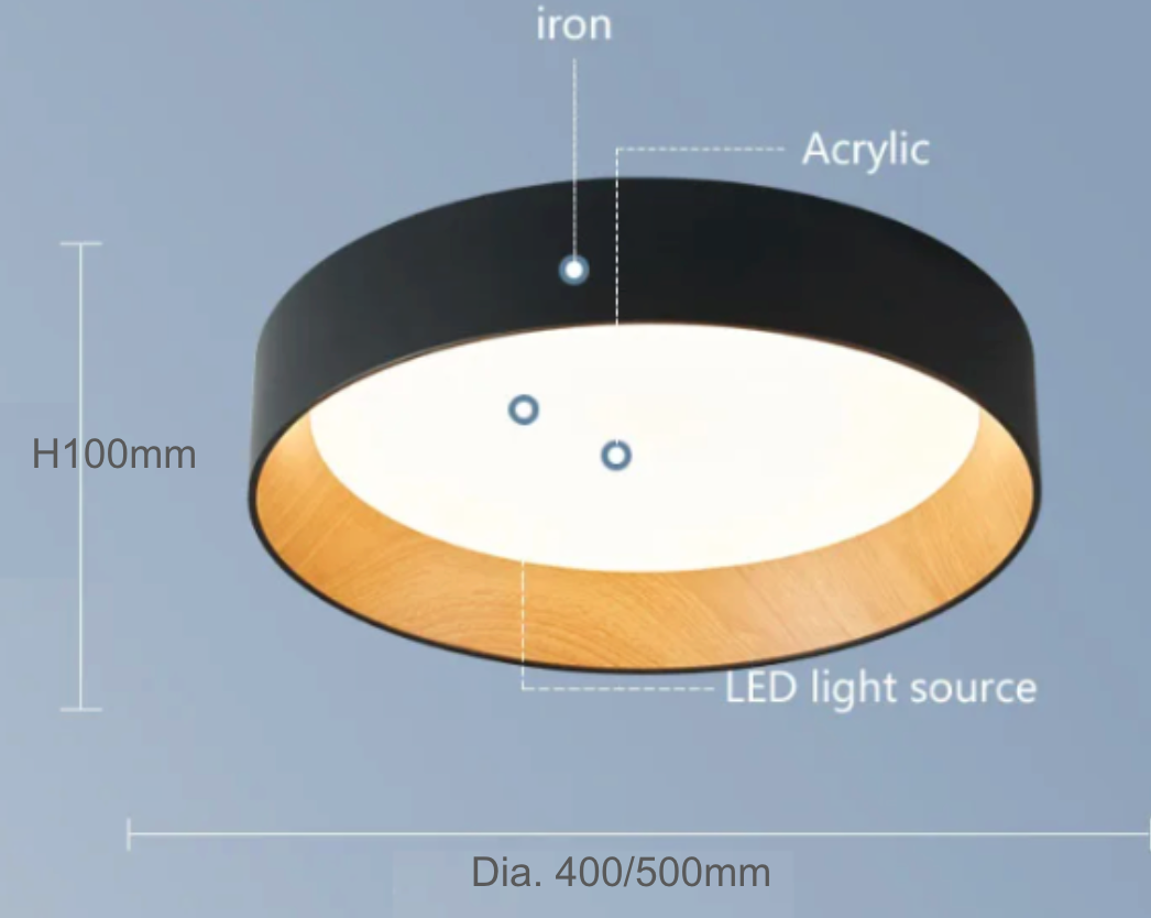 Scott -Built in LED Modern Ceiling light