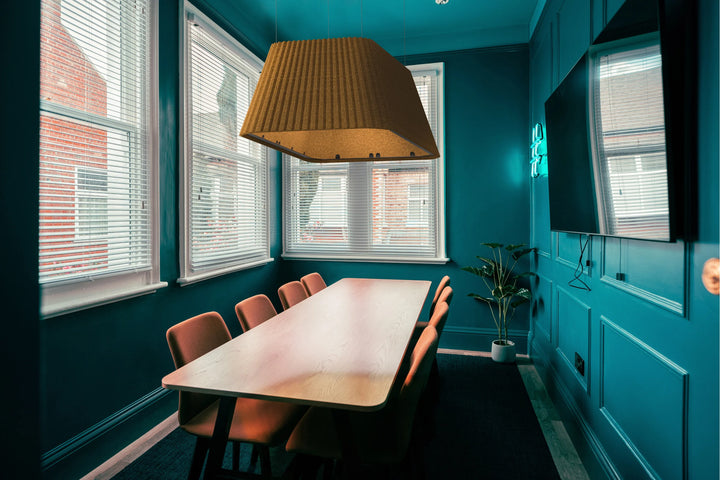 Alpha Duo - Flexxica Suspended Light