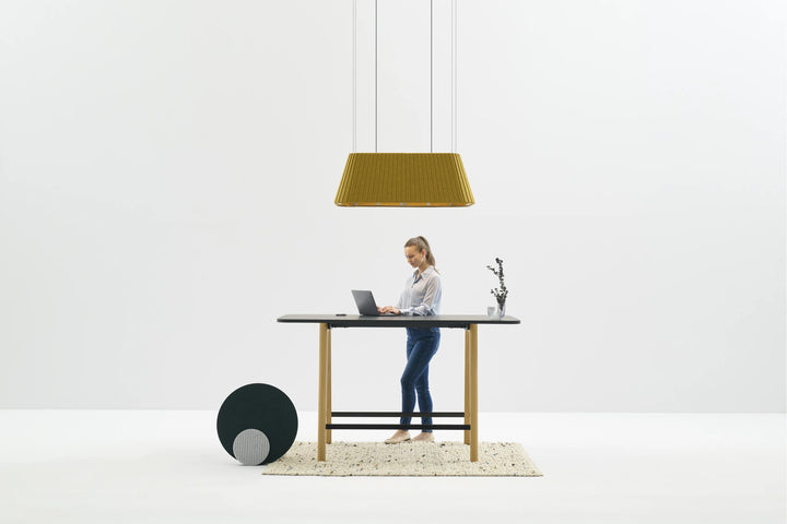 Alpha Duo - Flexxica Suspended Light