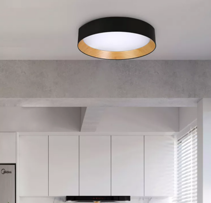 Scott -Built in LED Modern Ceiling light