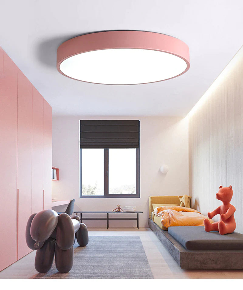 Wilks -Built in LED Modern Ceiling light