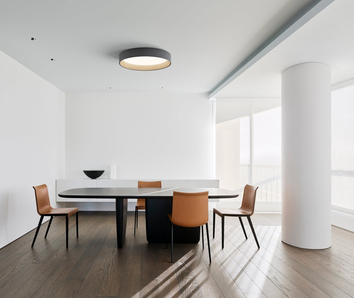Scott -Built in LED Modern Ceiling light